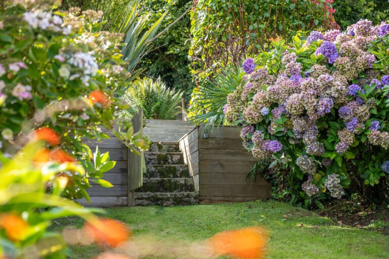 Kennford-garden-pic-6