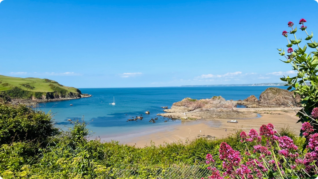Hope Cove beach and rocky harbour framed by pink flowers